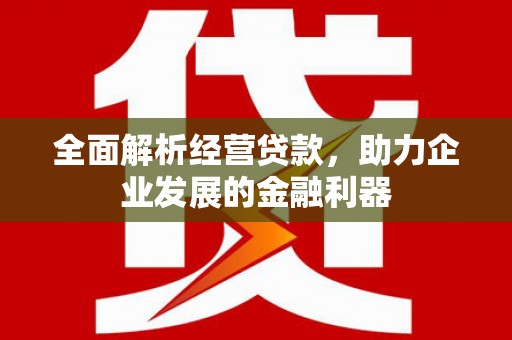 衡水全面解析经营贷款，助力企业发展的金融利器