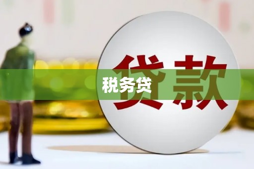 衡水税务贷
