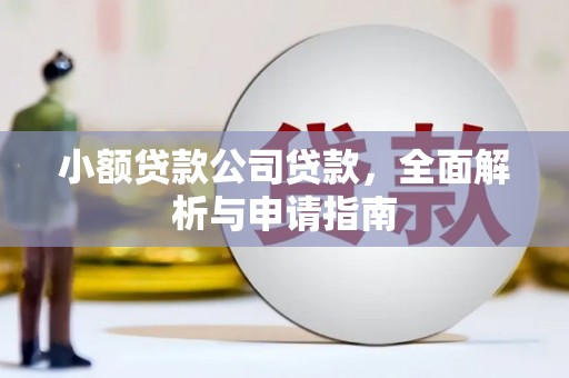 衡水小额贷款公司贷款，全面解析与申请指南