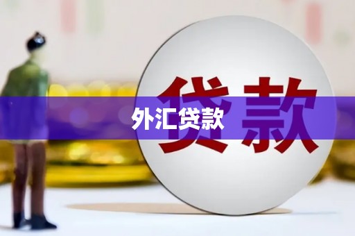衡水外汇贷款