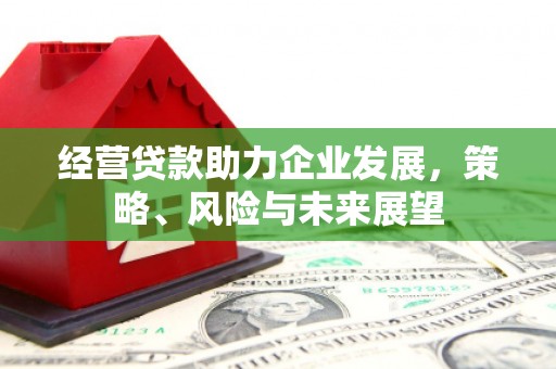 衡水经营贷款助力企业发展，策略、风险与未来展望