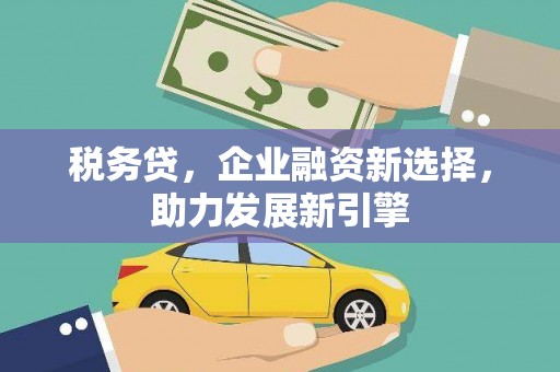 衡水税务贷，企业融资新选择，助力发展新引擎