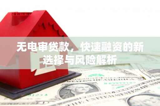 衡水无电审贷款，快速融资的新选择与风险解析