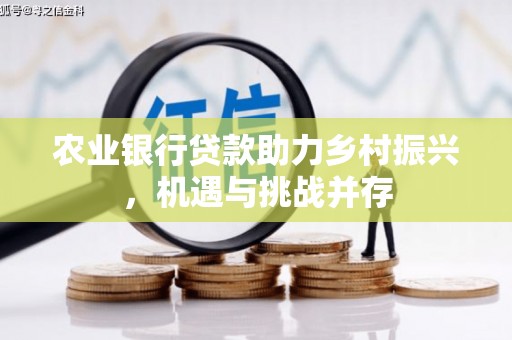 衡水农业银行贷款助力乡村振兴，机遇与挑战并存
