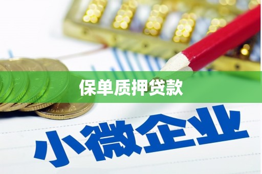 衡水保单质押贷款
