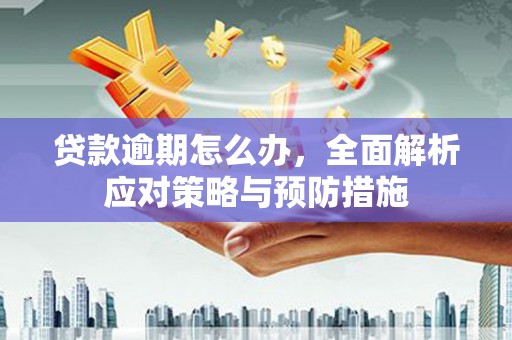 衡水贷款逾期怎么办，全面解析应对策略与预防措施