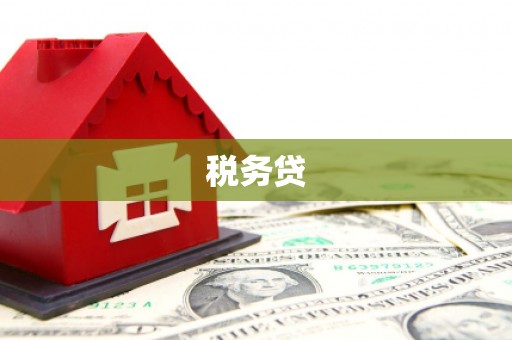 衡水税务贷