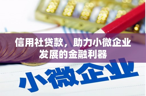 衡水信用社贷款，助力小微企业发展的金融利器