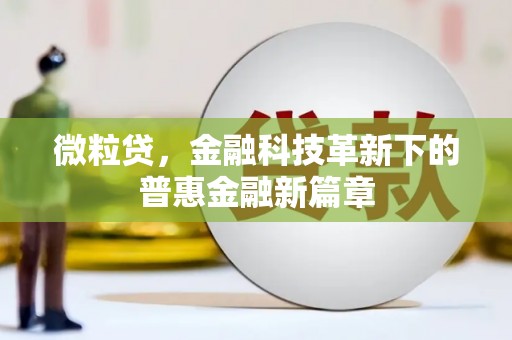 衡水微粒贷，金融科技革新下的普惠金融新篇章