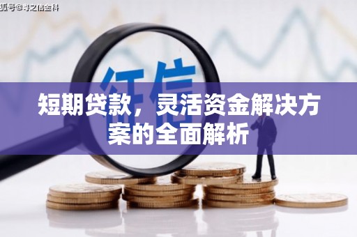 衡水短期贷款，灵活资金解决方案的全面解析