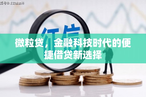 衡水微粒贷，金融科技时代的便捷借贷新选择