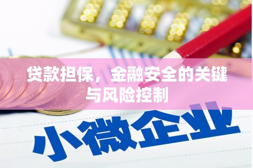 衡水贷款担保，金融安全的关键与风险控制