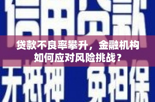 衡水贷款不良率攀升，金融机构如何应对风险挑战？
