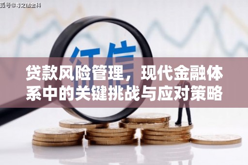 衡水贷款风险管理，现代金融体系中的关键挑战与应对策略