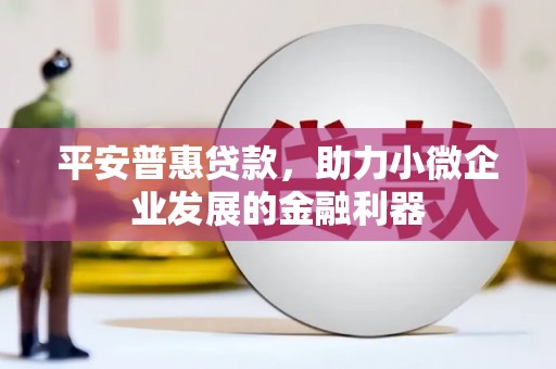 衡水平安普惠贷款，助力小微企业发展的金融利器