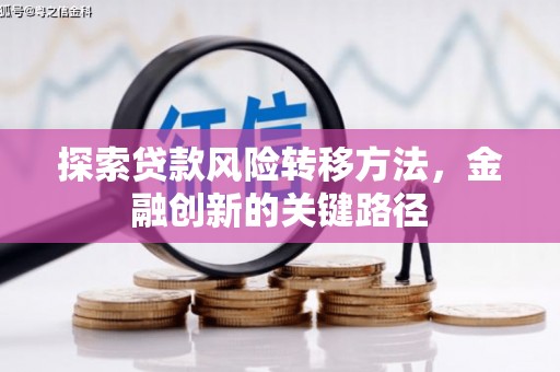 衡水探索贷款风险转移方法，金融创新的关键路径