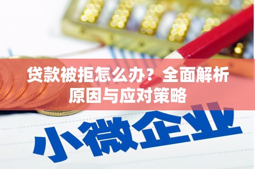 衡水贷款被拒怎么办？全面解析原因与应对策略