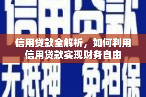 衡水信用贷款全解析，如何利用信用贷款实现财务自由